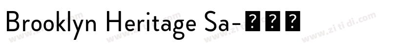 Brooklyn Heritage Sa字体转换
